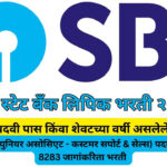 SBI-Clerk-Online-Application-2024